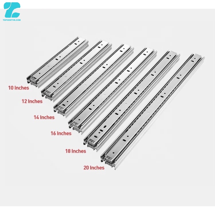 Ray bi đủ các loại kích thước, màu sắc